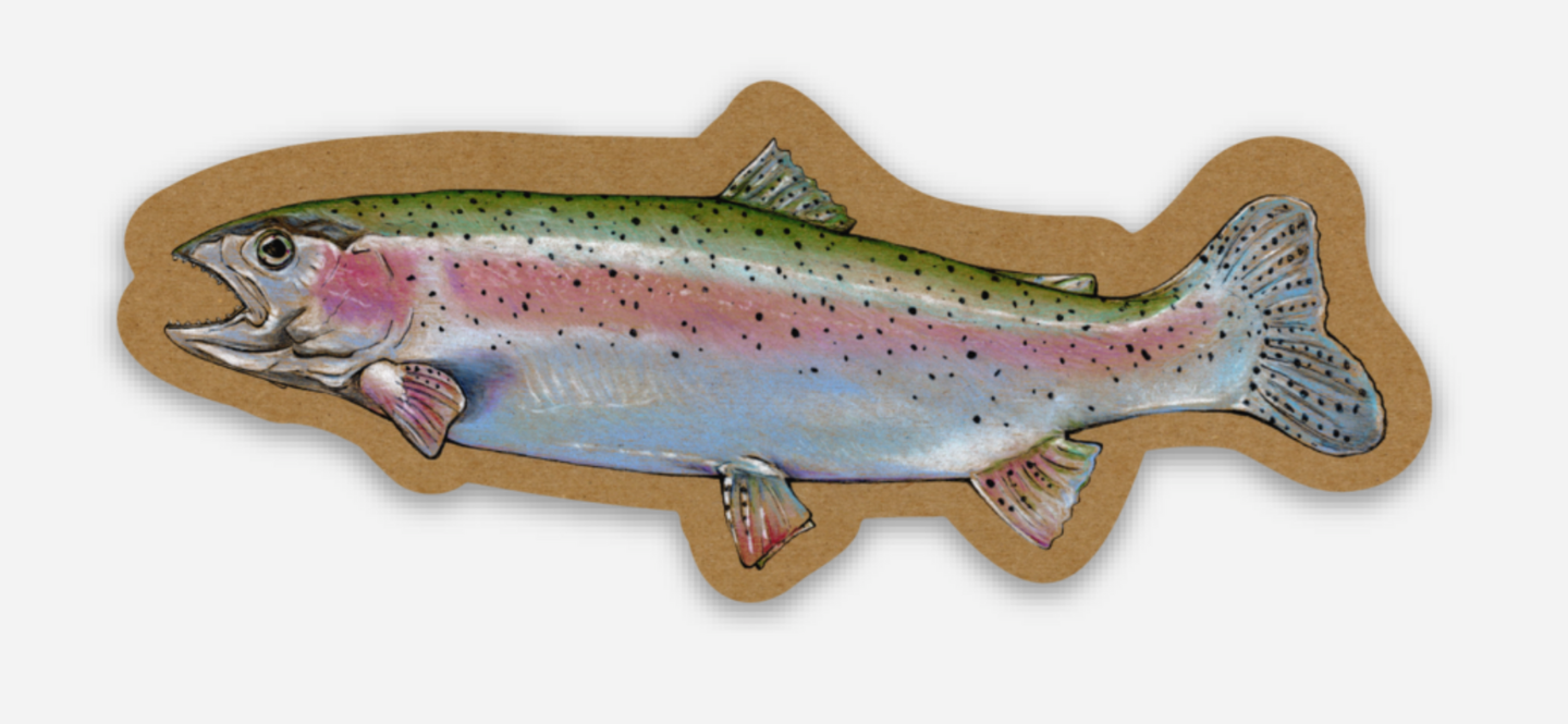Rainbow Trout Fish Sticker