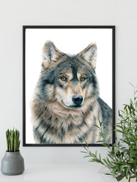 "Dusk" a Wolf Colored Pencil Vertical Print