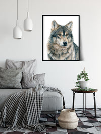 "Dusk" a Wolf Colored Pencil Vertical Print