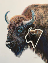 Load image into Gallery viewer, Bison Colored Pencil Drawing STICKER
