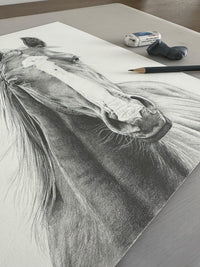 "Vasco" an Original Horse Pencil Drawing