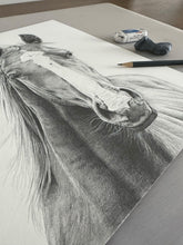 Load image into Gallery viewer, &quot;Vasco&quot; an Original Horse Pencil Drawing
