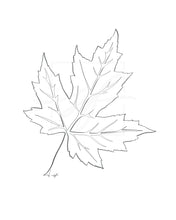 Load image into Gallery viewer, Maple leaf minimalist one line drawing
