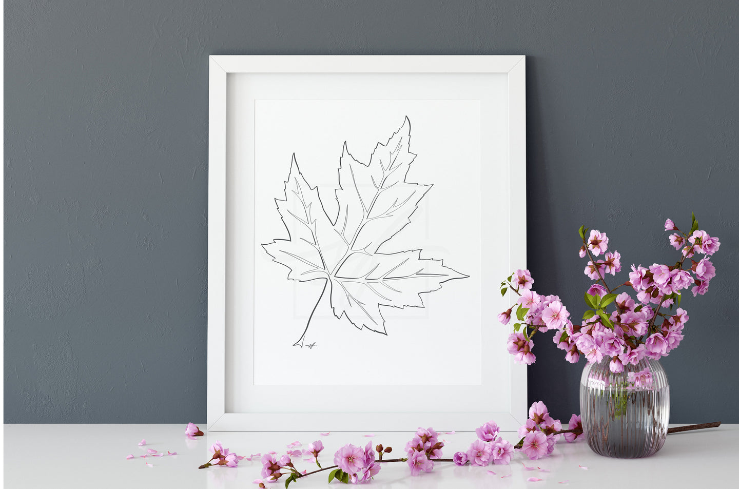 Maple leaf minimalist one line drawing
