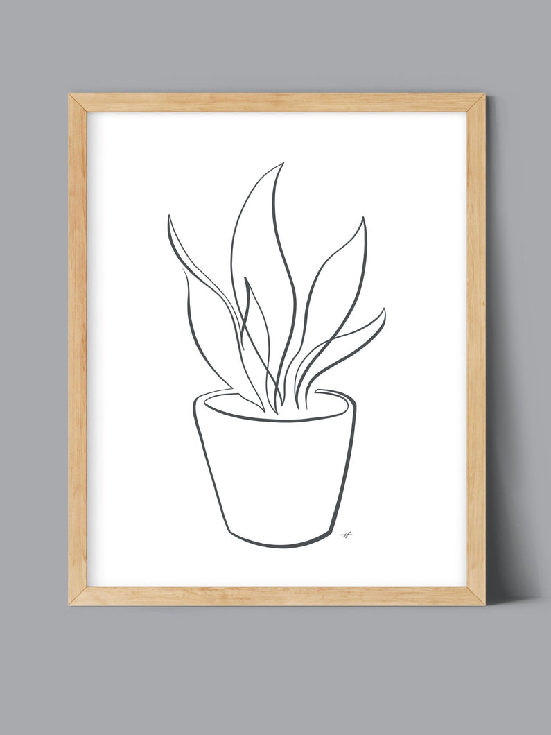 Snake Plant Laurent Potted Plant One Line Drawing, digital download