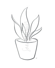 Load image into Gallery viewer, Snake Plant Laurent Potted Plant One Line Drawing, digital download
